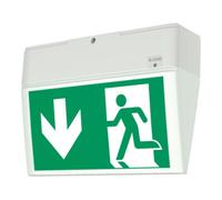 Eaton Ceag Lampe LED batterie unique 3h IP54 EURO X Quantité:1