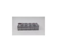 Eaton EB006SP Batterie de l'onduleur Sealed Lead Acid (VRLA) 12 V 5 Ah