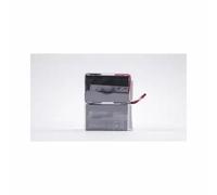 Eaton EB010SP Batterie de l'onduleur Sealed Lead Acid (VRLA) 6 V 9 Ah