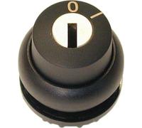 Eaton Electric GmbH Bouton-poussoir à clé 2 positions