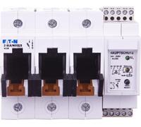 Eaton interrupteur-sectionneur à fusibles, 63A, 3p+protection principale 248240