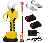 Ébrancheur électrique portable rechargeable, perche télescopique pour branches hautes, cisailles de jardin sans fil pour arbustes et arbres fruitiers, idéal pour les agriculteurs