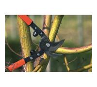 Bahco Ébrancheur P16-60-F – lames croisantes, tubes ovales en acier, longueur 60 cm, coupe 30 mm