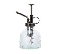 Ebristar Vaporisateur en Verre pour Plantes Grasses avec Pompe supérieure, 16,5 cm de Haut, brumisateur pour Plantes d'intérieur et d'extérieur, Transparent