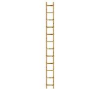 Echelle de couvreur Outifrance 8833040 en bois L4m 16 échelons entraxe 25cm OUTIFRANCE G