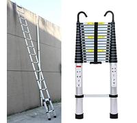 Échelle télescopique de 4,4 m avec 2 Crochets, échelle coulissante extensibl, échelle Multifonction, Facile à Transporter, capacité de 150 kg, Argent