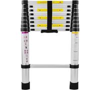 Échelle télescopique - Échelle extensible - Pour travaux domestiques - Aluminium léger - 2,6 mètres - Argentée