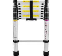 Échelle télescopique - Échelle extensible - Pour travaux domestiques - Aluminium léger - 2,6 mètres - Argentée