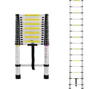 Échelle télescopique - Échelle extensible - Pour travaux domestiques - Embouts antidérapants - 4,4 mètres - Argent