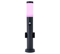 Eclairage de chemin extérieur avec détecteur de mouvement 2x prise de courant lumière de jardin dimmable avec télécommande, acier inoxydable anthracite, LED RVB 8,5W 806lm blanc chaud, IP44, H 60cm