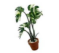 ECMQS Plante artificielle miniature Monstera pour exposition de modélisme | Vert pot, échelle 1:6 avec feuillage moulé et pierres décoratives