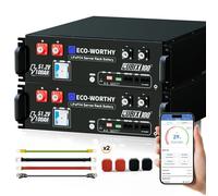 ECO-WORTHY 10 24KWh Batterie Lithium 2pcs 48V(51 2V) 100AH Batterie Lifepo4 Bluetooth pour système Solaire Panneau Soalire