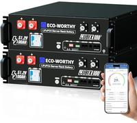 ECO-WORTHY Cubix100 Batterie Lithium 48V 100 Ah*2 LiFePO4 Bluetooth | avec BMS 100 A, 10,24 kWh 3U, avec prise en charge CAN&RS485, pour système solaire, système photovoltaïque