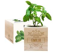 Ecocube gravé d'un prénom (Basilic)