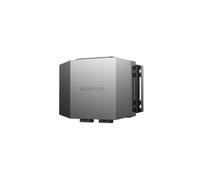 EcoFlow Chargeur de batterie de voiture 600 W pour stations d'alimentation | Jusqu'à 600 W de puissance de charge, compatible 12 V et 24 V, pour camping et camping-car, utilisation avec alternateur