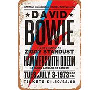 ECONG David Bowie in London Panneau mural en métal à suspendre vintage Art aluminium Poster Animal Band Building Peinture célébrité Bar Café Jardin Cadeau public