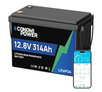 EconomiPower Batterie au lithium LiFePO4 12 V 314 Ah (300 Ah), BMS intelligent 200 A avec surveillance de l'application et plus de 15 000 cycles, alimentation compacte et fiable pour camping-car