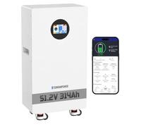 EconomiPower Lifepo4 Batterie LiFePO4 48 V 300 Ah avec BMS 200 A, mémoire solaire 16 kWh, batterie au lithium rechargeable 8000 + cycles 48 V avec BMS 200 A pour système photovoltaïque, camping-car