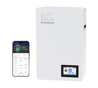 EconomiPower Lifepo4 Batterie Murale Lifepo4 51,2 V 200 Ah 10 KWh Rechargeable au Lithium 6 000 Cycles 48 V avec BMS 100 A pour système photovoltaïque, Usage Domestique, Urgence, Camping-Car