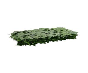 Écran Intimité Feuilles Vert 200 x 75 cm Polyéthylène Tissu | Claustra décoratif, pose rapide sans outils, résiste soleil pluie, entretien chiffon humide, idéal balcon terrasse jardin