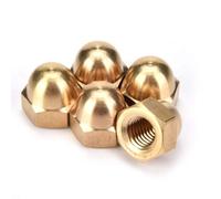 Écrou de Dôme, écrou Hexagonal Borgne, Boulons à Filetage Femelle en Laiton Couvrent les écrous de Dôme pour la Protection des Attaches de Véhicule Intérieur Extérieur(M6 (20PCS))