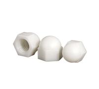Écrous à dôme en nylon for capuchon de gland | Matériel électronique mécanique blanc M3-M12, 5/10/20 pièces, boulons, tiges filetées, goujons(20pcs,M10)
