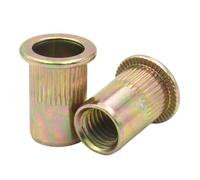 Écrous À Rivets Aveugles En Acier Inoxydable 304, 2 30 Pièces, M3 M4 M5 M6 M8 M10 M12, Inserts Filetés Zingués for Panneaux De Boîtiers(Rainbow Zinc Plating,M4(20pcs))