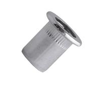 Ecrous crantés acier tête plate M10 L 25 mm boîte de 100 SCELL-IT TCD1060