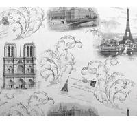 EDEM 9050-10 Papier peint Paris Tour Eiffel Notre Dame satiné blanc gris 10,6 m2
