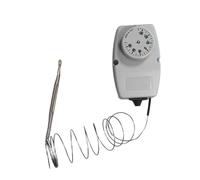 EDENEA - Relais Mise Hors Gel Piscine - Spécial Hivernage Actif - Protection Hiver Bassin - Montage sur Horloge Coffret Piscine