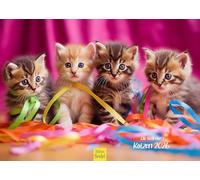 Edition Seidel Calendrier 2026 de qualité supérieure - Format A3 - Calendrier mural - Calendrier mural - Calendrier pour animaux de compagnie - Chatons - Chatons