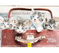 Edition Seidel Calendrier mural 2026 de qualité supérieure - Format A4 - Calendrier mural - Chat - Chat - Enfants - Chatons mignons - Animaux domestiques