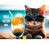 Edition Seidel Calendrier mural 2026 de qualité supérieure - Motif chats cool - Format A3 - Pour animaux de compagnie - Chatons - Avec dictons amusants