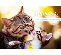 Edition Seidel Premium calendrier mamans chats 2027 Format DIN A5. Calendrier mural allemand chats pour mamans beaux images superbes phrases animaux de compagnie chatons matou