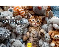Edition Seidel Premium calendrier petits chatons à la maison 2027 Format DIN A5. Calendrier mural allemand pour amateurs de chats animaux de compagnie chatons bébés chats
