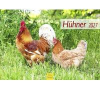 Edition Seidel Premium calendrier Poules 2 2027 Format DIN A4. Calendrier mural allemand d'animaux de de compagnie poule coq poussins oiseaux