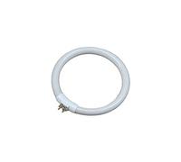 EDM Tube fluoresc de rechange Circulaire T4 12 W 6500 K pour modèle 30287 G
