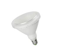 Edm ampoule LED E27 15 W