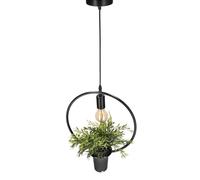 EDO Luminaire Plafonnier LED Suspension Lampe décorative suspendue avec pot et fleur MEA Suspension ronde, éclairage de plafond, pot de plantes, designer naturel IP20, E27, EDO777544