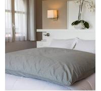 Édredon - CASTEX COUETTES NATURELLES - Jacquard gris clair - 160x170 cm - 90% duvet neuf - 700 cuin