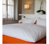 Édredon gonflant - CASTEX COUETTES NATURELLES - Blanc - 180x170 cm - 90% duvet neuf de canard français