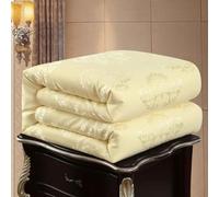 Edredon Gonflant Duvet Couette 4 Saisons Édredon Adulte,C-180x220cm-3kg | Couette Hiver Tres Chaude Dodo Imprimer Edredon Gonflant Duvet Garnissage en Soie De Mûrier,C-180x220cm-3kg