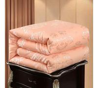 Edredon Gonflant Duvet Couette 4 Saisons Édredon Adulte,D-200x230cm-2kg | Couette Hiver Tres Chaude Dodo Imprimer Edredon Gonflant Duvet Garnissage en Soie De Mûrier,D-200x230cm-2kg