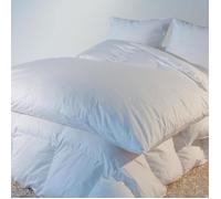 Édredon naturel Eco Castex - 160x170cm blanc 30% duvet