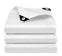 EEATUZTL Blanc Bâche Imperméable, Bâche de Protection en Polyéthylène, UV Résistant Bache Camion, Pergola, Serre, Baches Imperméables pour Exterieur, Jardin, Tonnelle, Camping, Meubles, 4x5m