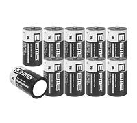 EEMB 10pcs ER14250 1/2AA 3.6V Batterie au Lithium Li-SOCL₂Non Rechargeable XL-050F SB-AA02 LS14250 TL-5902 TL-2150 pour Collier Dogwatch/Moniteur de Mouvement sécurité Domestique Alarme