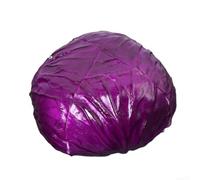EffiFish Faux chou artificiel réaliste - Décoration pour mariage, fête, Pâques, saladier - 1 unité (E)