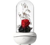 EFUTURE LED Lampe Fleur Rose éternelle USB Charge Lampe à parfum Veilleuse ambiante Rouge G