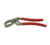 Egamaster - Pince Sanitaire - 10" - 62 Mm