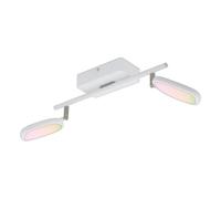 Eglo connect LED Plafonnier Palombare-C, 2 lampes Smart Home en métal